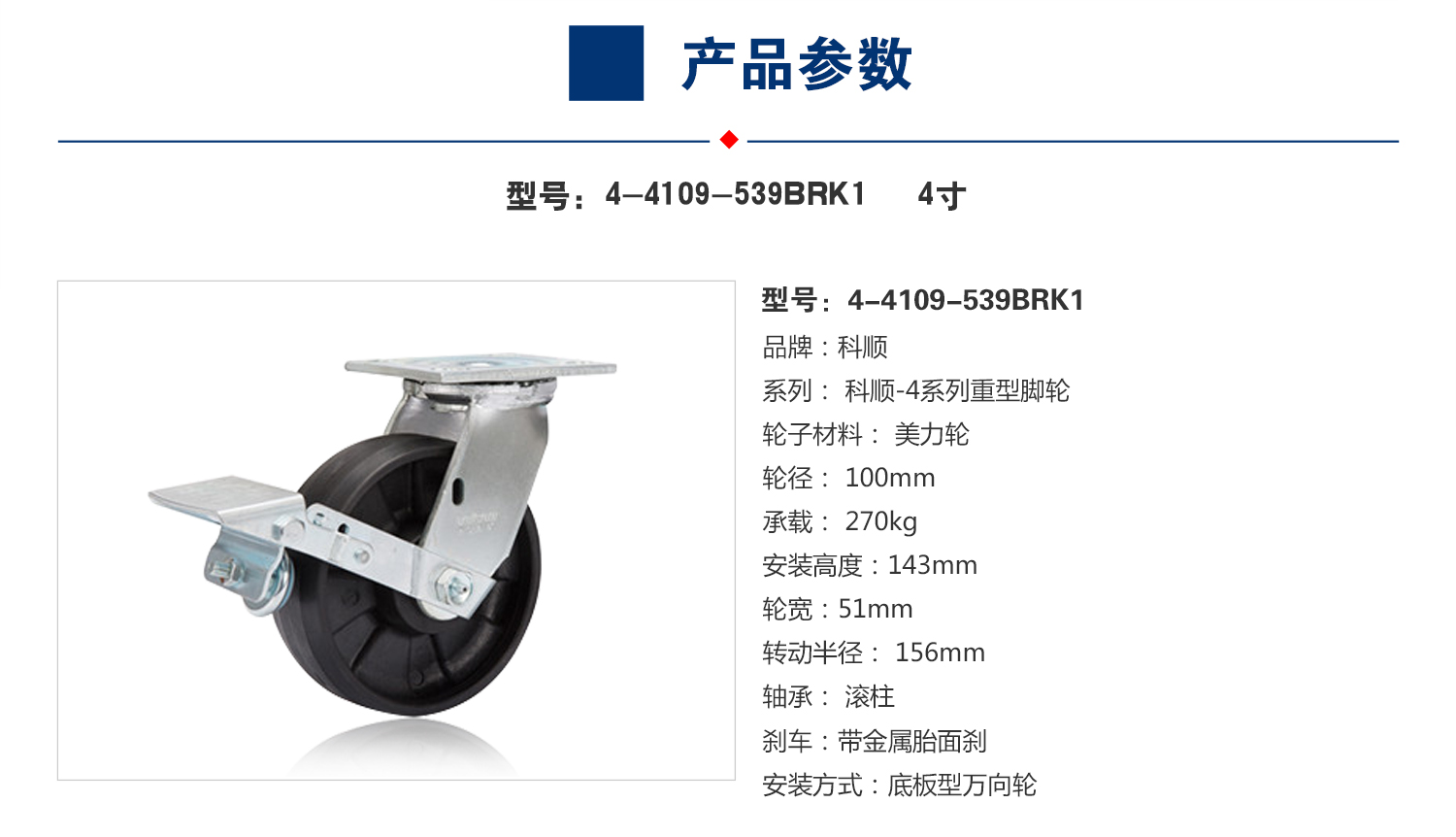 4-8199-539BRK1  4.jpg